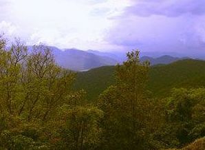 Wildernest Nature Resort Chorla 外观 照片